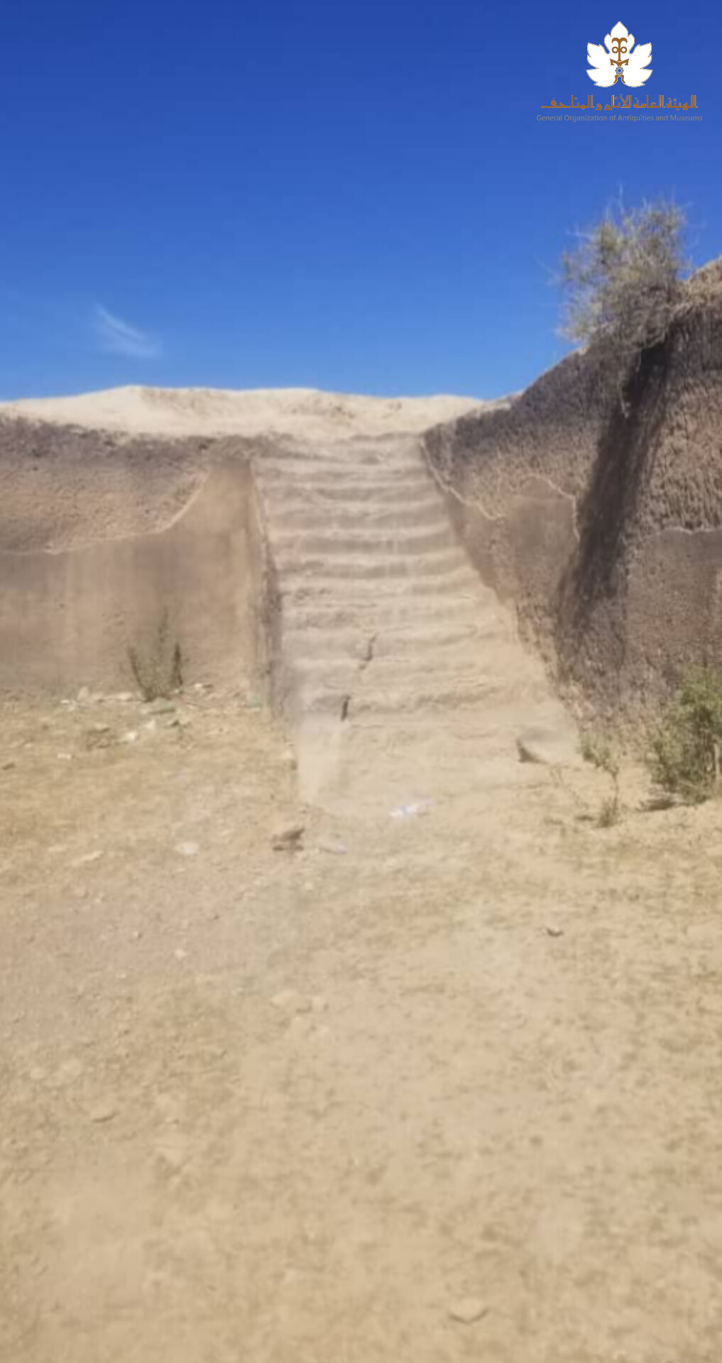 الهيئة تتدخل لوقف أعمال حفر قرب بركة الضليعة الأثرية في الحداء